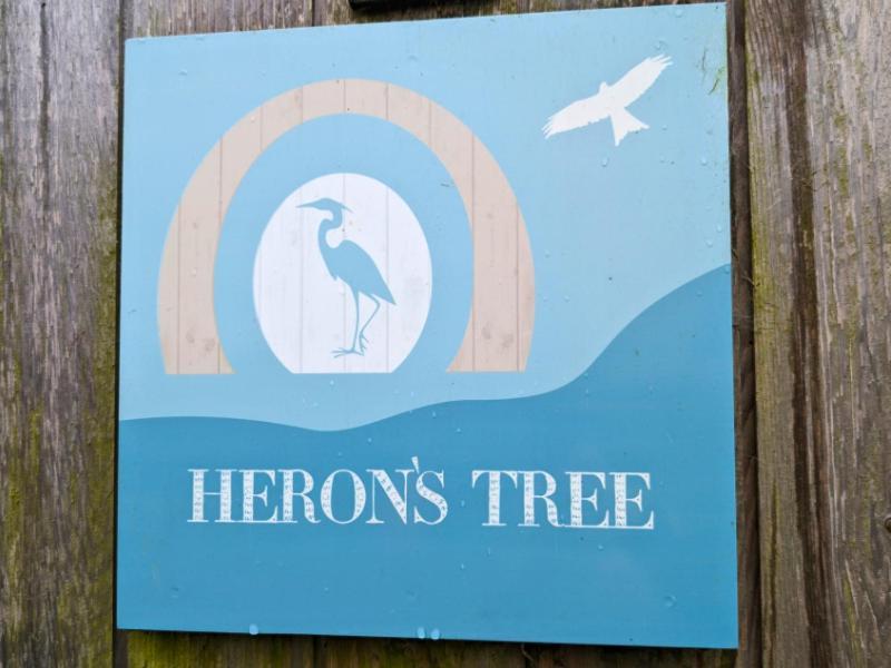 The Heron'S Tree Hotel Llandovery Exterior photo